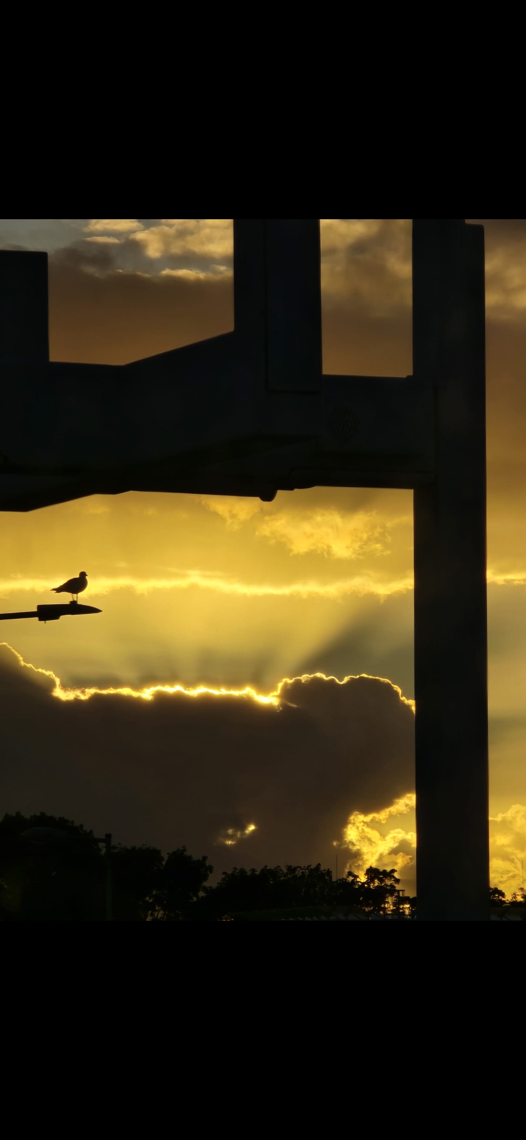 Zen.nl, Zen, meditatie, leren mediteren, foto